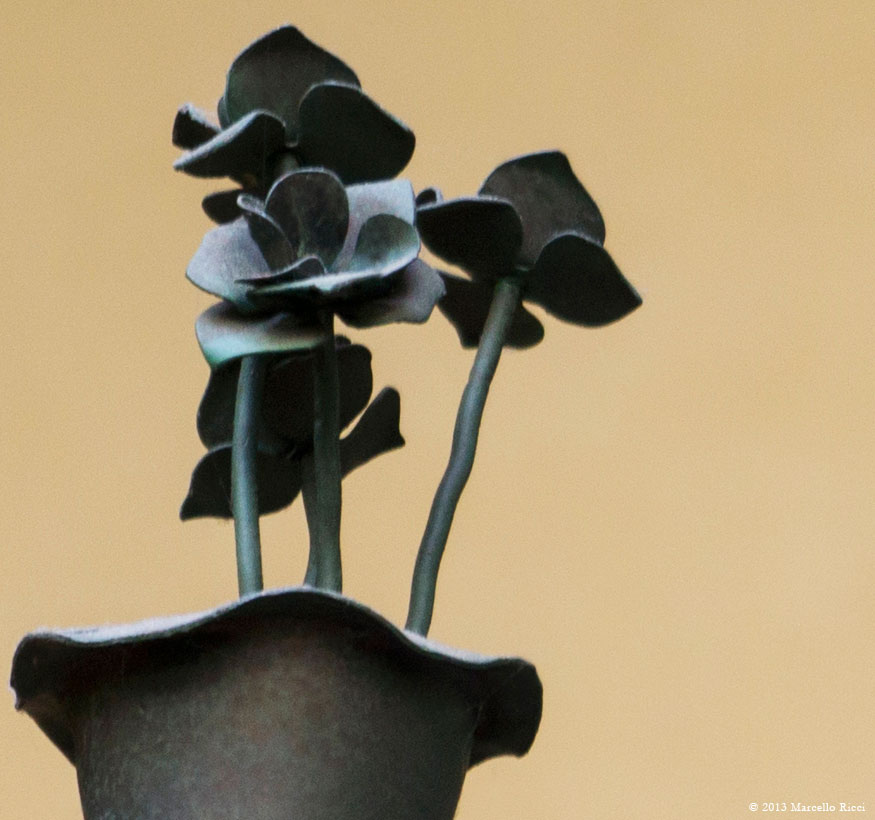 Iron Flowers